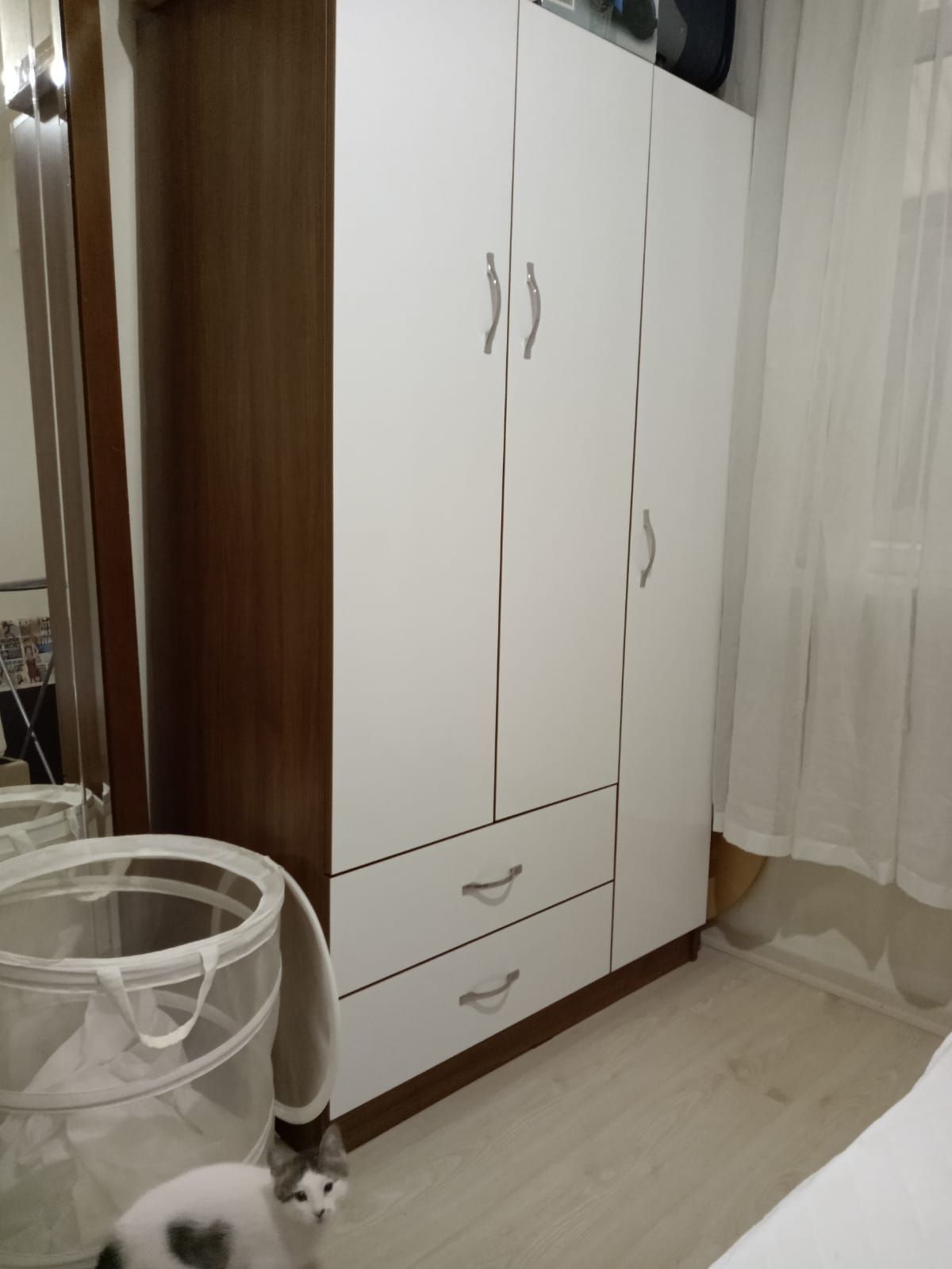 Ev Arkadaşı Arıyorum, Bayrampaşa — fotoğraf 3/11