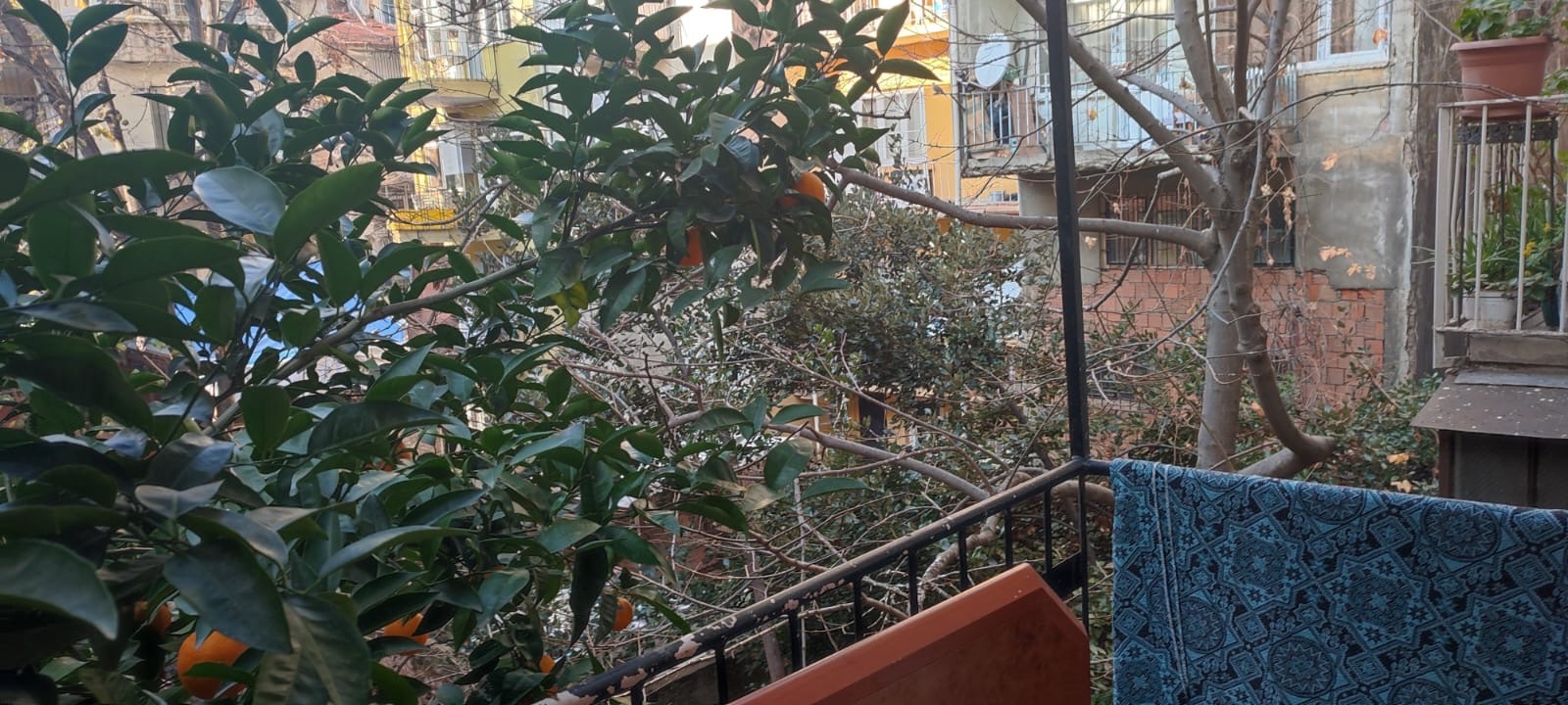 Yeldeğirmen’inde Balkonundan Portakal Yemeli Oda, Kadıköy — fotoğraf 1/7