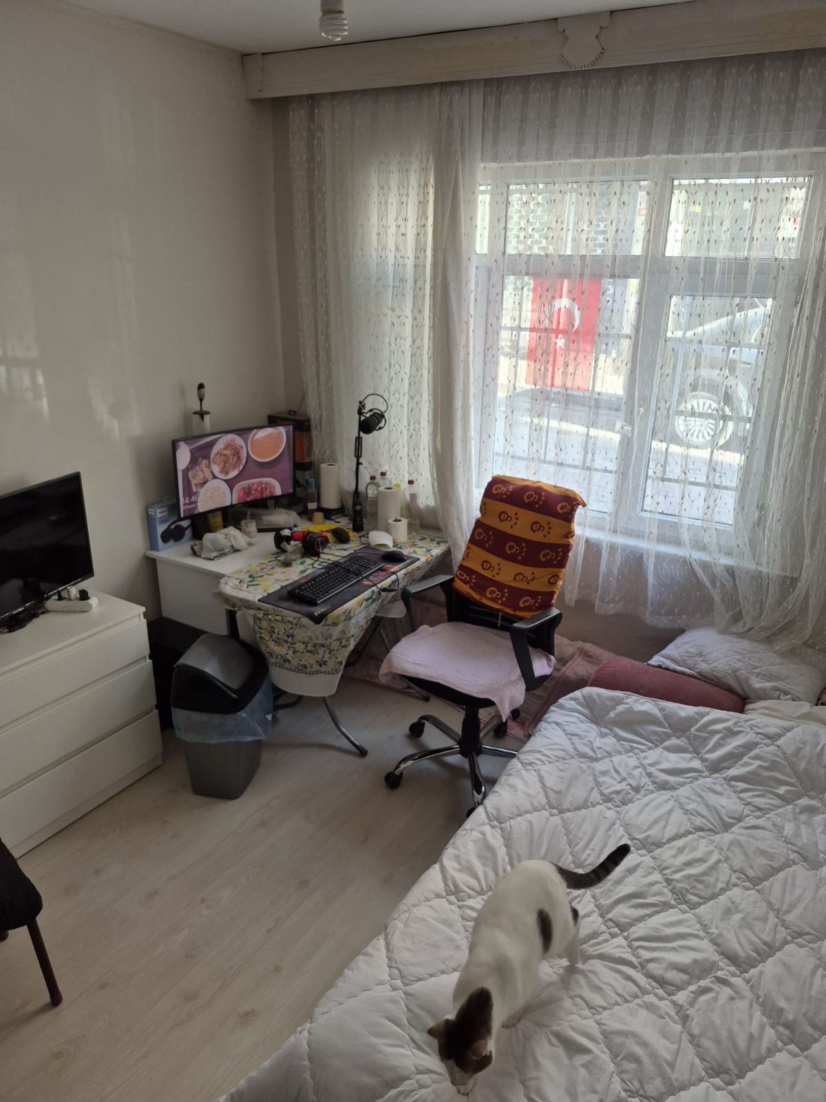 Ev Arkadaşı Arıyorum, Bayrampaşa — fotoğraf 10/11