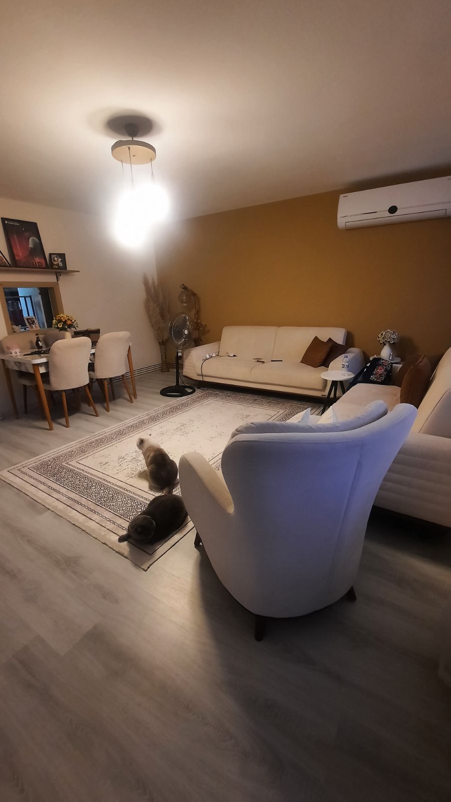 EV ARKADAŞI ARANIYOR, Karabağlar — fotoğraf 2/12