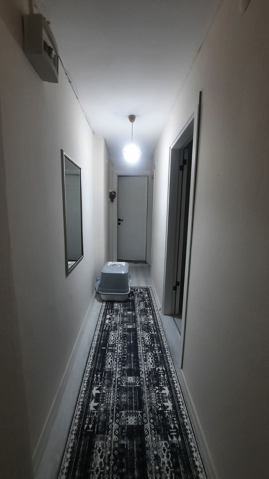 EV ARKADAŞI ARANIYOR, Karabağlar — fotoğraf 3/12