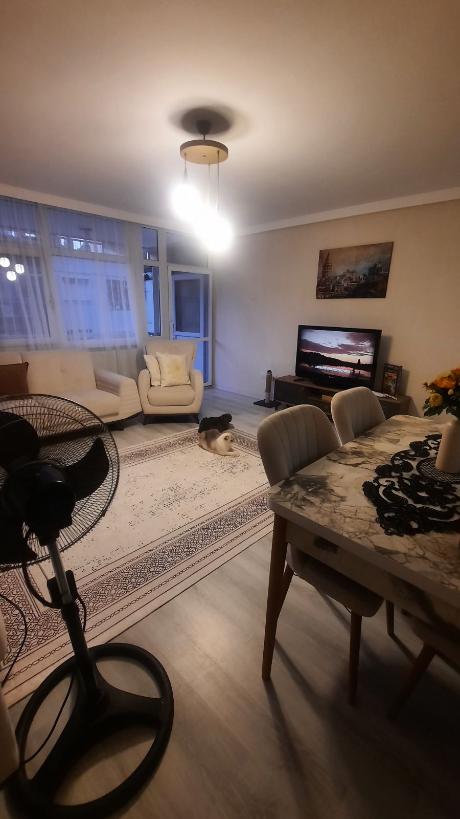 EV ARKADAŞI ARANIYOR, Karabağlar — fotoğraf 10/12